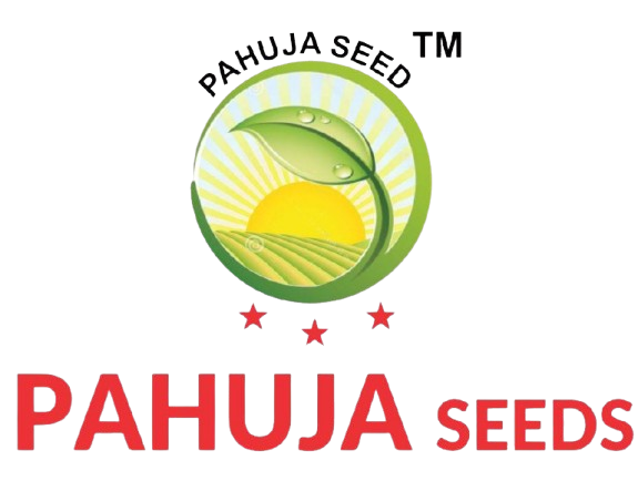 logoseed-1-removebg-preview