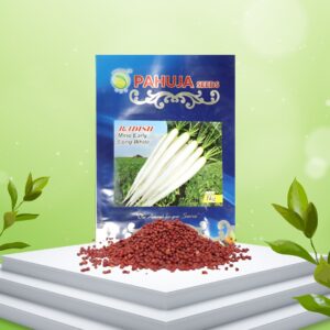 Radish Seeds