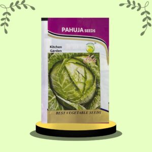 Cabbage Kitchen garden