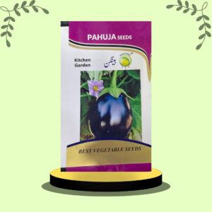 Brinjal Round Kitchen Garden