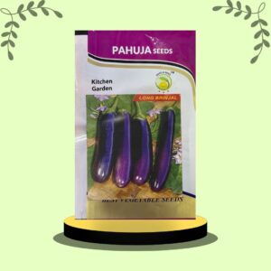 Brinjal Long Kitchen Garden