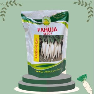 Radish 40 days