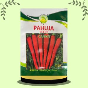 Carrot  T-29 1kg pack