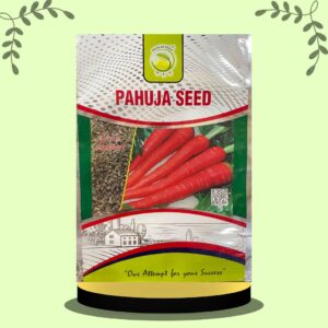 Carrot Maharani 500gm pack