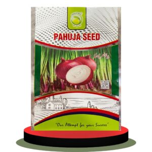 Onion Nasar puri  1kg pack