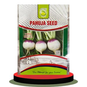 Turnip Purple Top Shahkar early 1kg