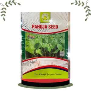 Spinach Desi Palak 500gm pack