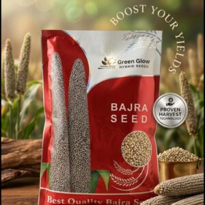 BAJARA SEED 1.5 KG (MILLET SEED)
