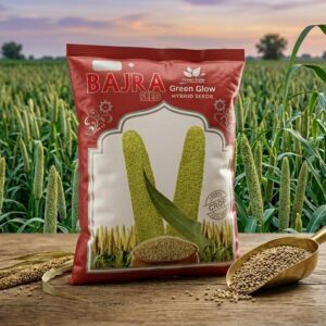 Bajra Seed 2.5 kg (Millet-Fodders)