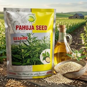 SEASAM - Oilseeds 1KG (NIAB PEARL)